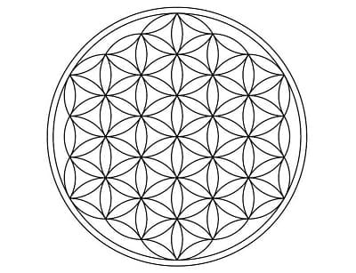 A Flor da Vida geometria sagrada