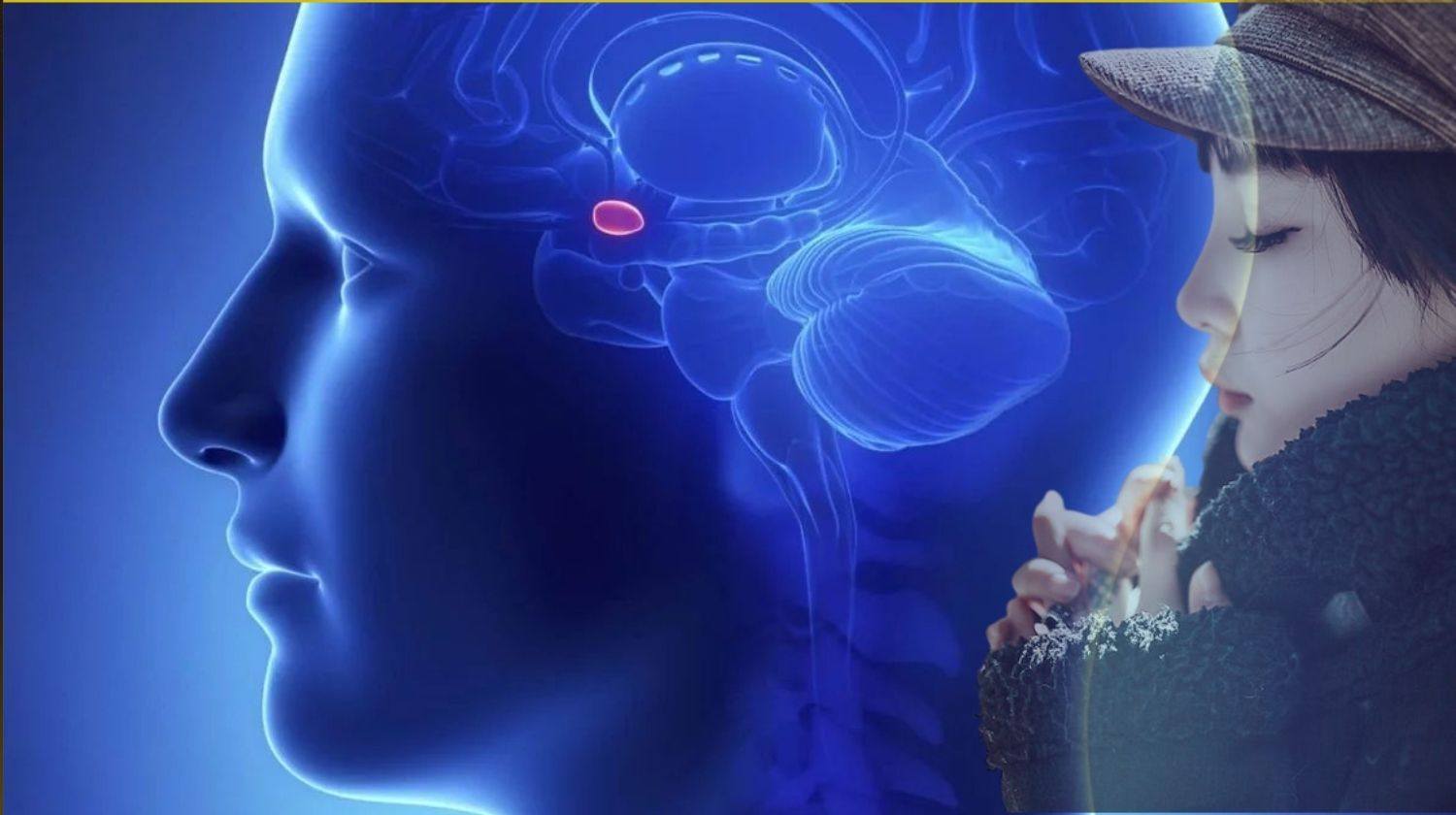 imagem cérebro com a glândula pineal dentro e uma mulher ao lado meditando para a glândula pineal espiritualidade ativar 