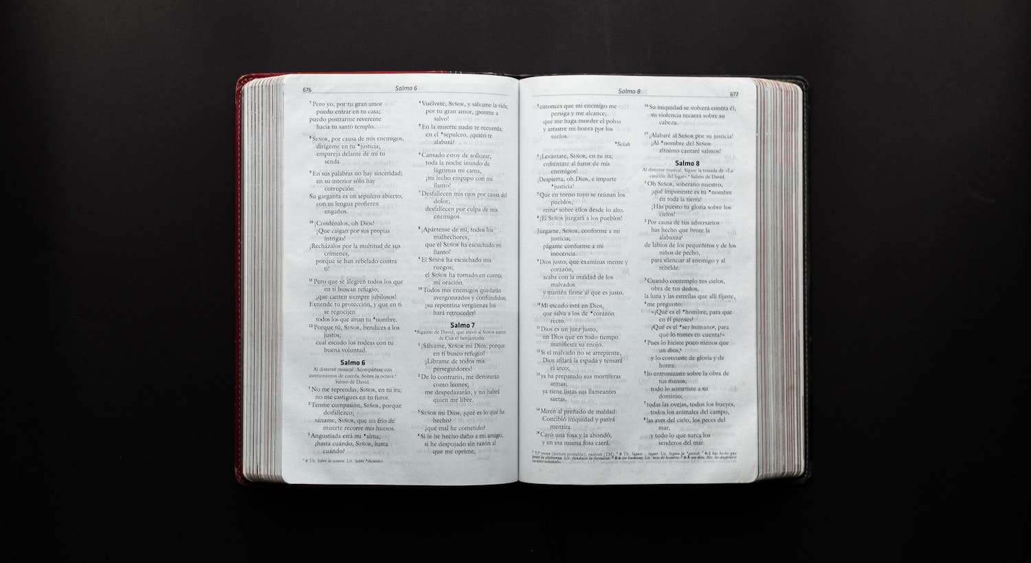 livro da bíblia aberto nas Parábolas 