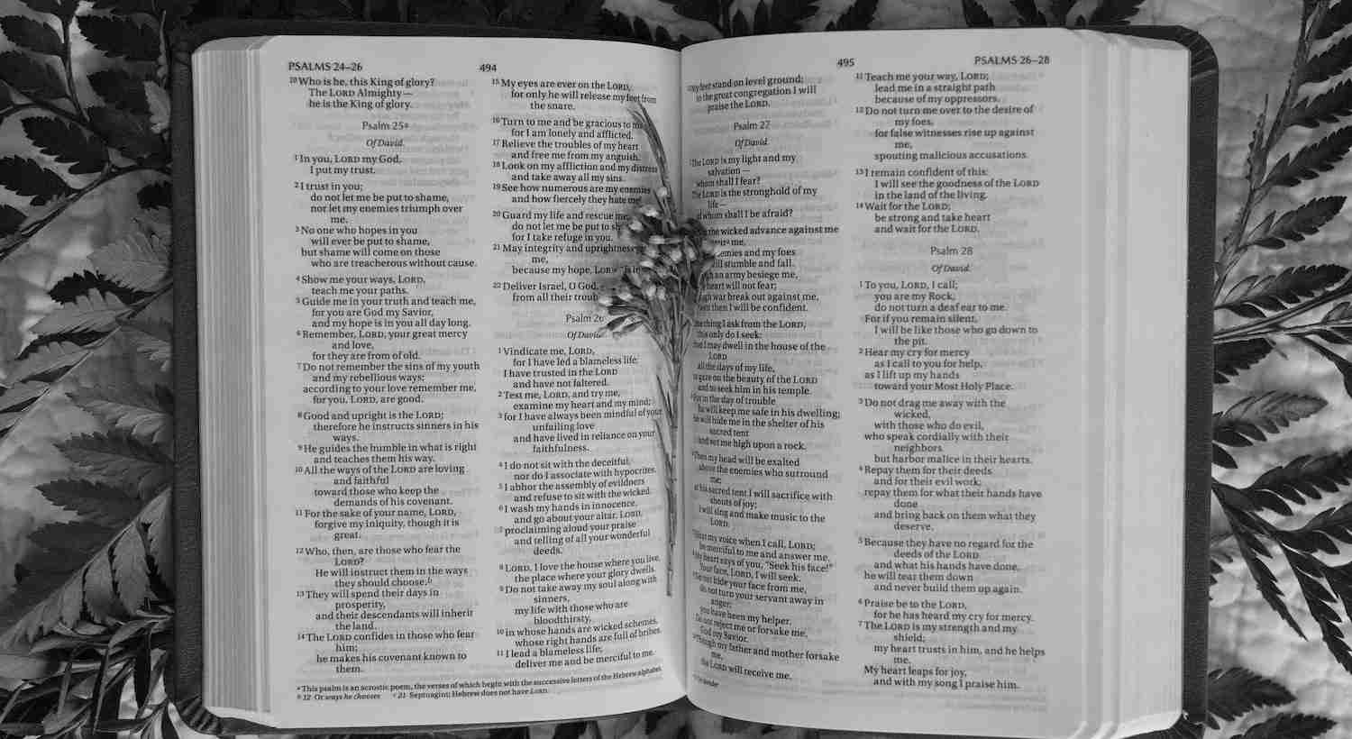 bíblia sagrada com a páginas a mostra em referencia sobre O Que Diz a Bíblia Sobre Mantra