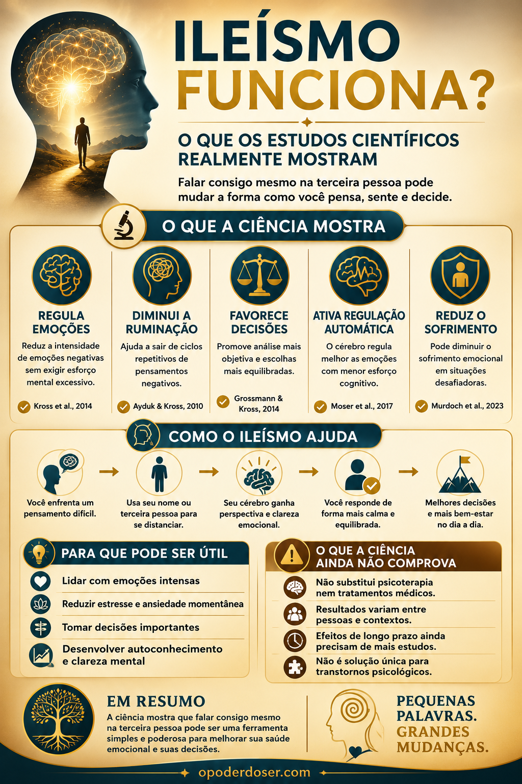 Ileísmo funciona O que os estudos científicos realmente mostram - infografico