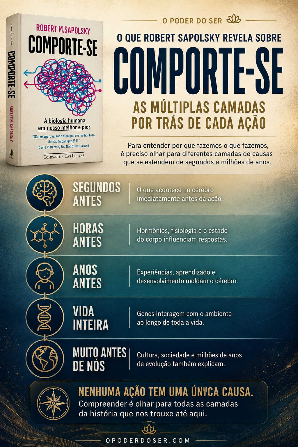Comporte-se vale a pena? O que Robert Sapolsky revela sobre por que fazemos o que fazemos - infografico informativo