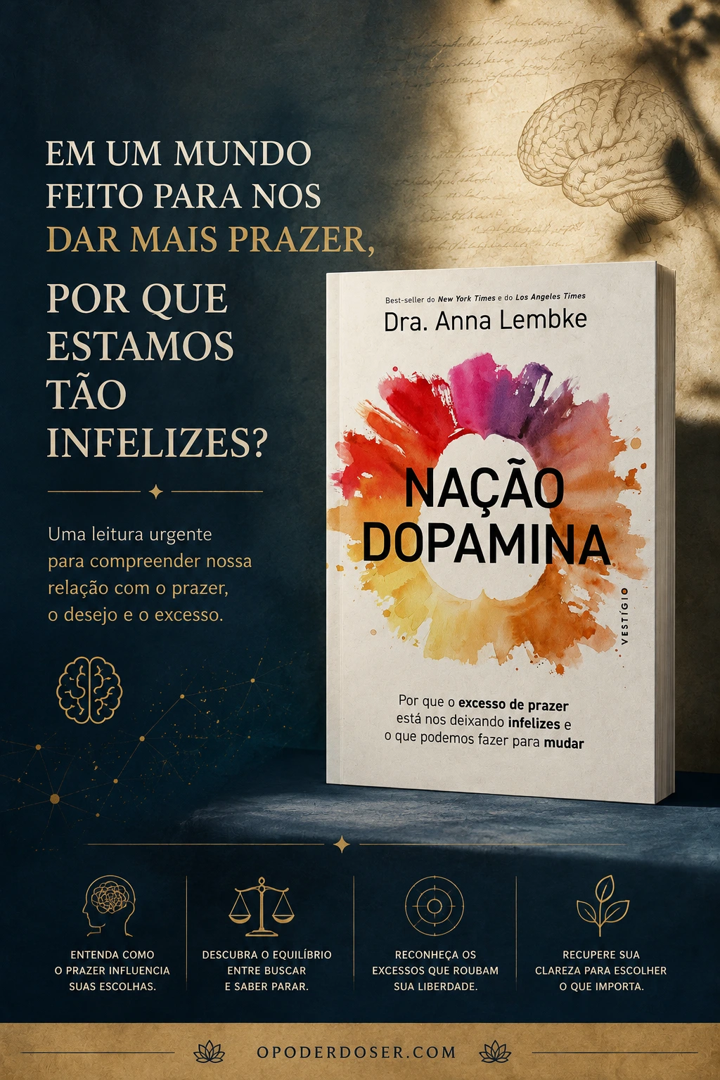 Livro Nação Dopamina Nação Dopamina vale a pena - infografico