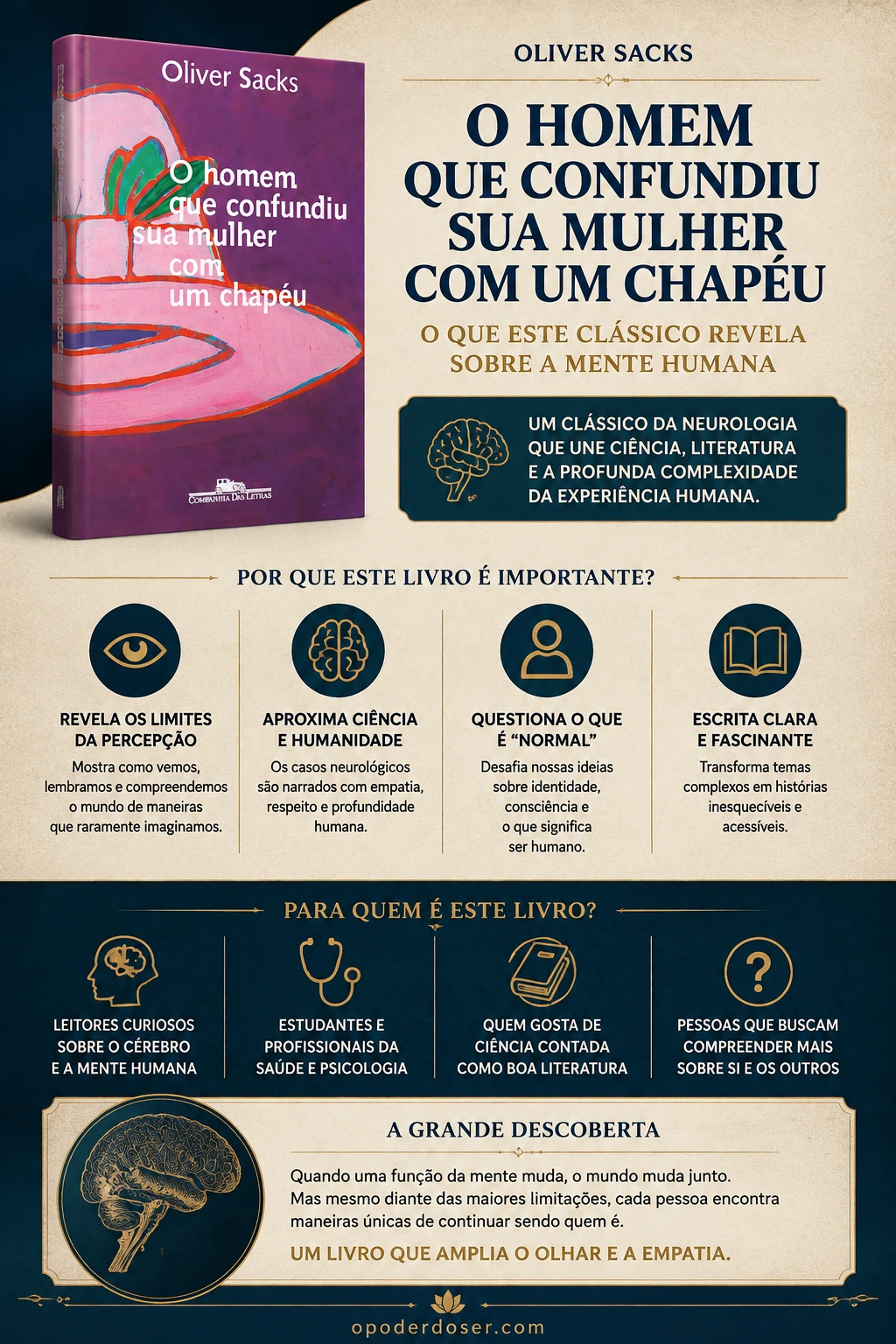 O Homem que Confundiu Sua Mulher com um Chapéu infográfico sobre o livro