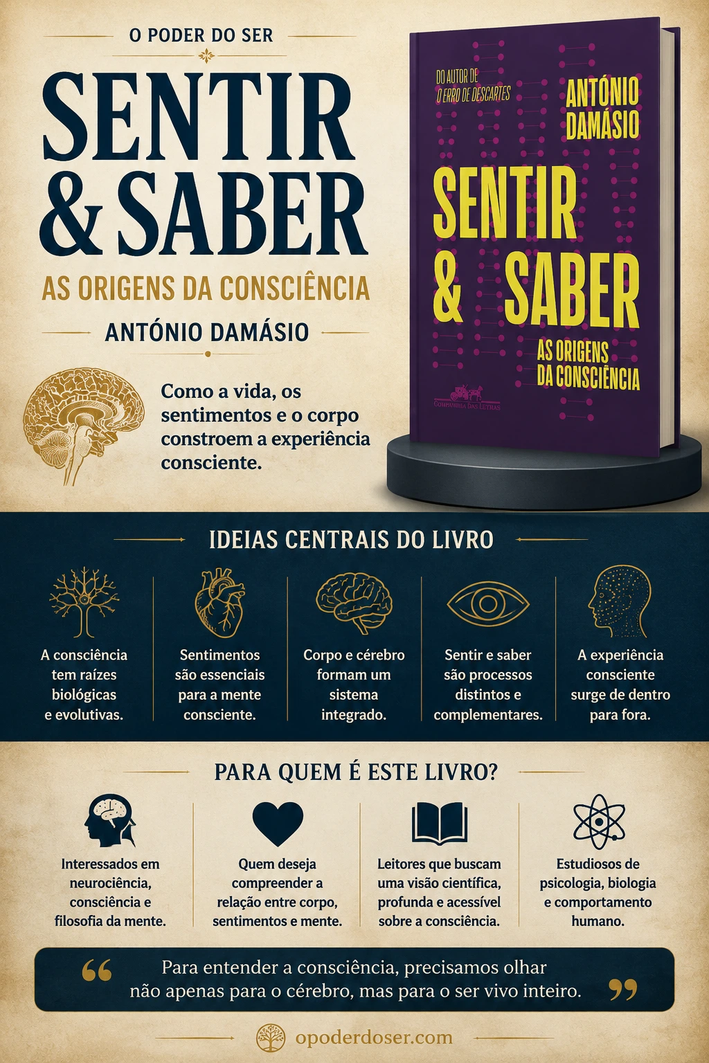 Livro Sentir e Saber, de António Damásio Sentir e Saber: como António Damásio explica as origens da consciência infografico