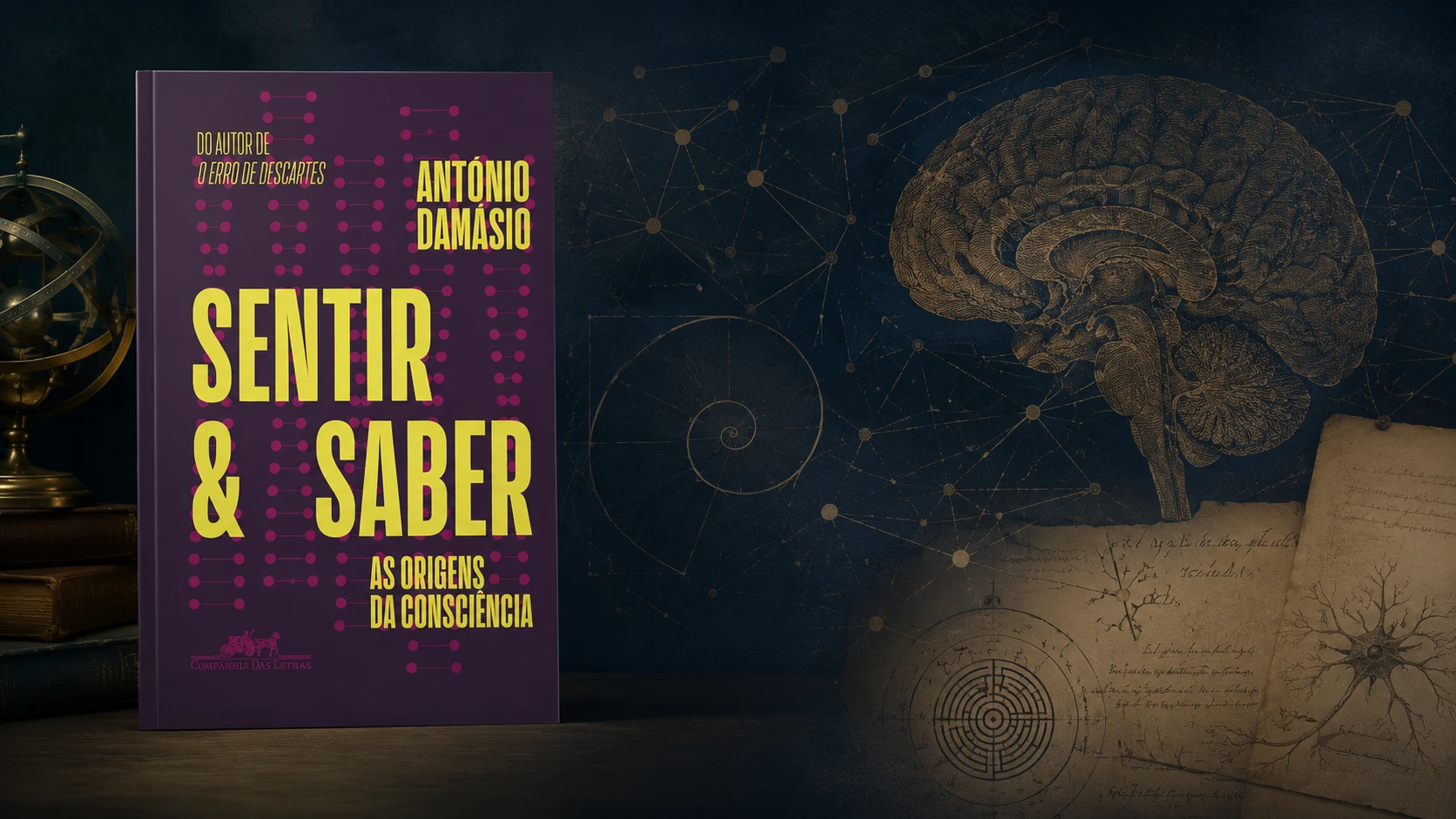 Sentir e Saber livro resenha